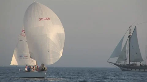 Sailing boat 9 Video stock 8565665