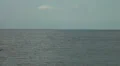 Sailing boat and Santa Maria de Colombo HD Footage
