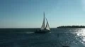 Sailing boat arriving Fehmarn harbor coast sunny day HD Footage