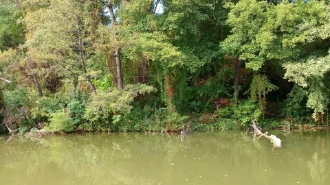 Sailing with a boat Video stock 80734254