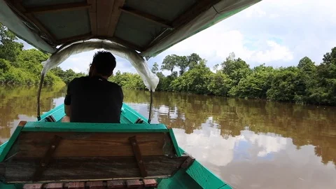 Sailing in a boat in the jungle Stock Footage 103430169