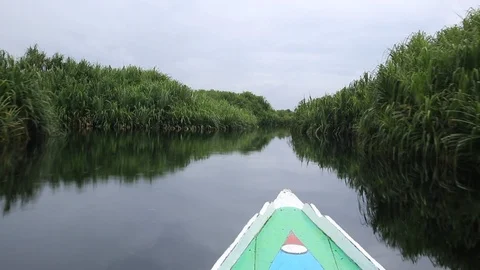 Sailing in a boat in the jungle 스톡 동영상 103430205