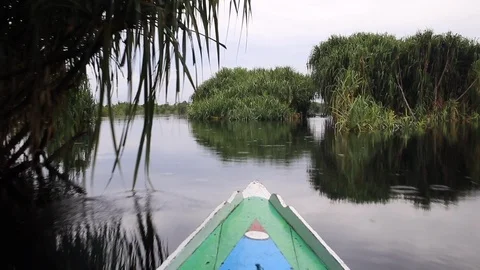 Sailing in a boat in the jungle Stock Footage 103430257