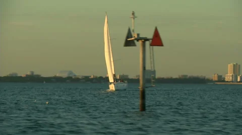 Sailing boat navigating at the sunset in Miami  Stock Footage 43319210