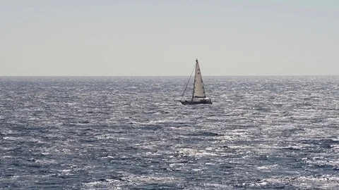Sailing boat pushed by the wind Video stock 83465467
