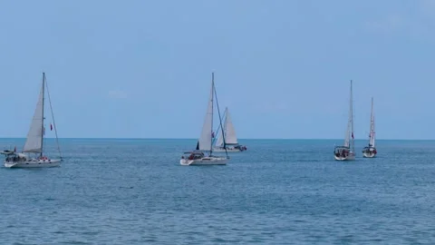 Sailing Boat Races Vídeo Stock 333446698