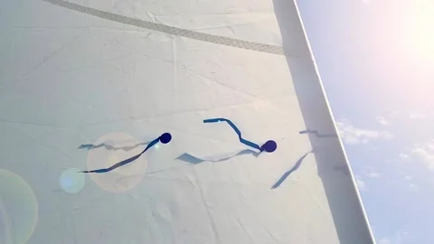 Sailing boat sails with wind indicators on both sides of foresail. Indicators Video stock 145059566