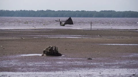 Sailing boat on the shore of Cameroon. Africa Stock Footage 255723053