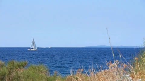 Sailing Boat with Vegetation in Foreground Stock Footage 30462346