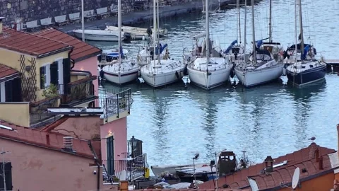 Sailing boats docked. Video stock 279202686