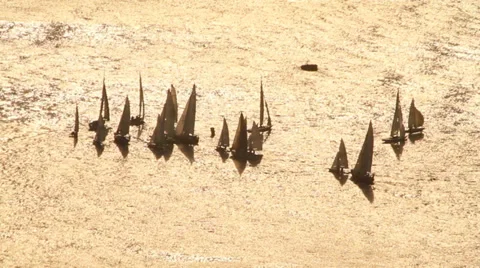 Sailing boats Stock Footage 29171316