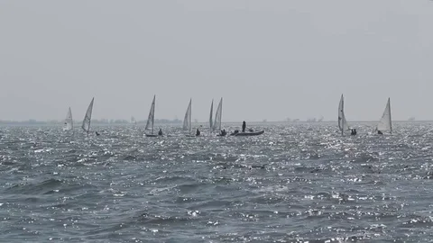 Sailing boats Stock Footage 75324890