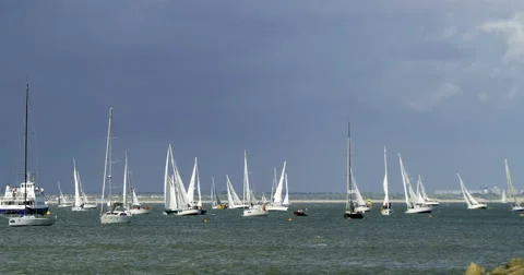 Sailing boats in a regatta Stock Footage 64932575