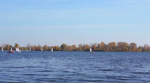 Sailing boats on the river. Timelapse Video stock 42648472