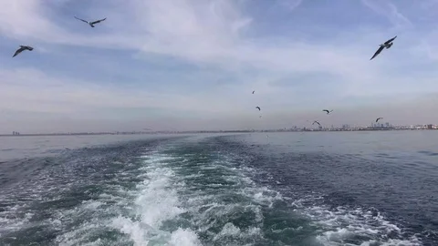 Sailing in Bosphorus Sea 스톡 동영상 107163729