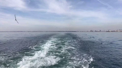 Sailing in Bosphorus Sea 스톡 동영상 107163814