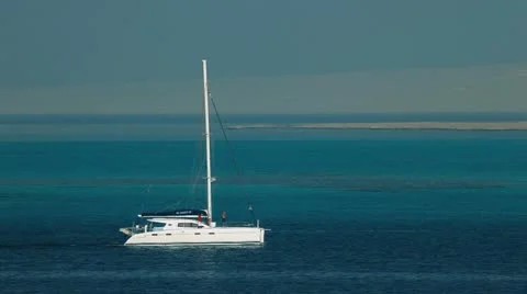 Sailing catamaran with mangroves in the background Stock Footage 22635220