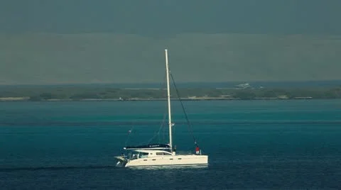Sailing catamaran with mangroves in the background Stock Footage 22635237