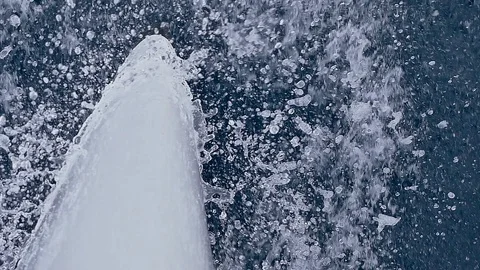 A  sailing catamaran in motion. Stock Footage 103555580