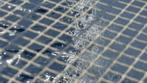 A sailing catamaran on the waves. Stock Footage 103577723