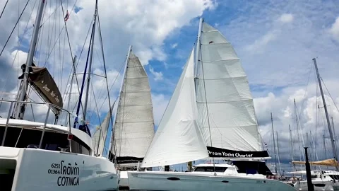 Sailing catamarans stand with raised sails in the marina Stock Footage 166941806