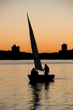 Sailing on the Charles River 库存照片