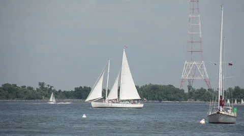 Sailing in the Chesapeake Bay Video stock 24693211