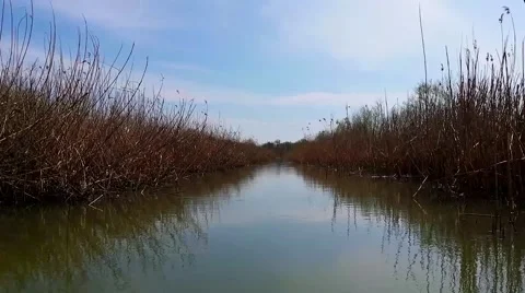 Sailing in Danube Delta Video stock 42753366