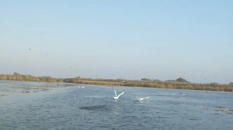 Sailing in the Danube River 動画素材 64232347