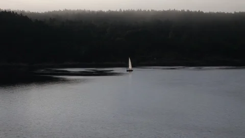 Sailing at dawn Stock Footage 91963917