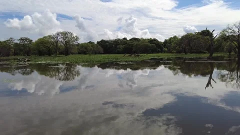 Sailing down a calm river in sir lanka Stock Footage 285154232