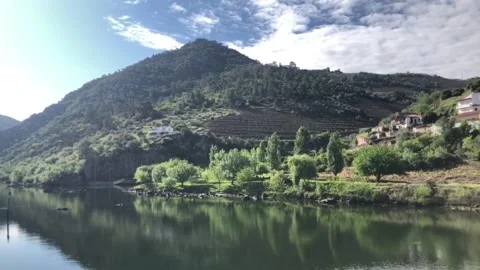 Sailing down the River Douro to Porto Stock Footage 219577583
