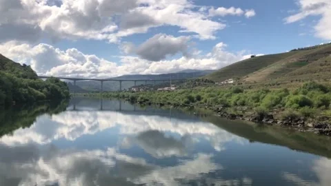 Sailing down the River Douro to Porto Stock Footage 220370367