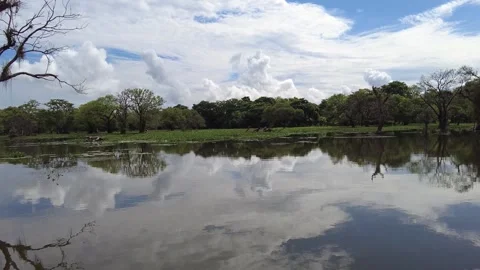 Sailing down a river in sir lanka Stock Footage 285612061