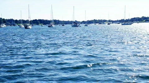 Sailing Video stock 525387