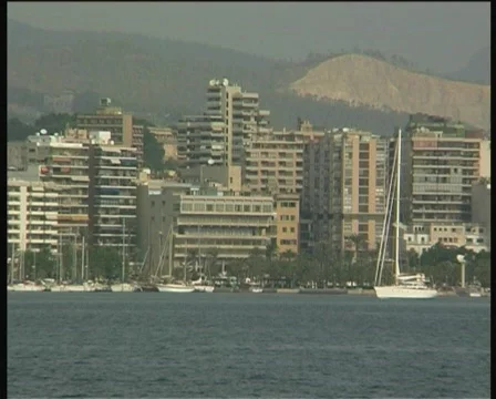 Sailing in the harbor Stock Footage 113027