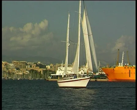 Sailing in the harbor Stock Footage 115884