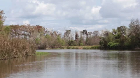 Sailing on a lake in the swamps. Stock Footage 44880130