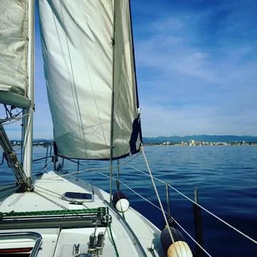 Sailing life 库存照片