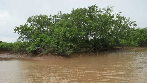 Sailing in the mangroves Stock Footage