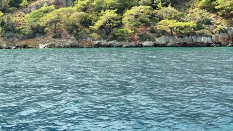Sailing near the forest Video stock 109337453