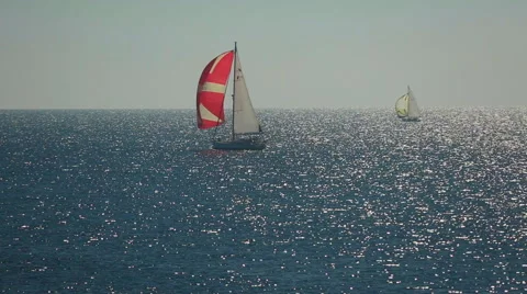 Sailing race Stock Footage 42762716