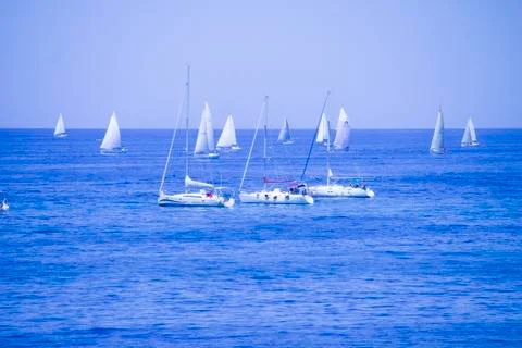 Sailing race Stock Photos
