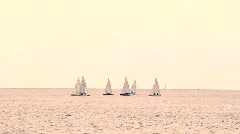 Sailing race at sunset Stock Footage 49034937