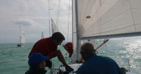 Sailing regatta Video stock 78540979