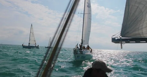 Sailing regatta Video stock 78541151