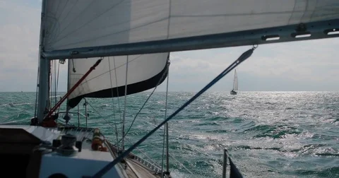 Sailing regatta Stock-Footage 78541286