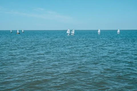 Sailing regatta of the junior class. Stock Photos