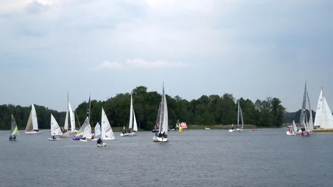 Sailing regatta on the lake Stock Footage 94865716