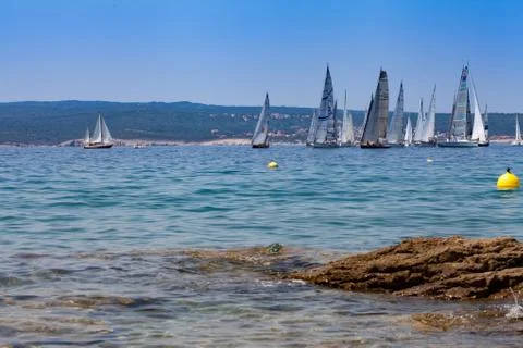 Sailing regatta Stock Photos